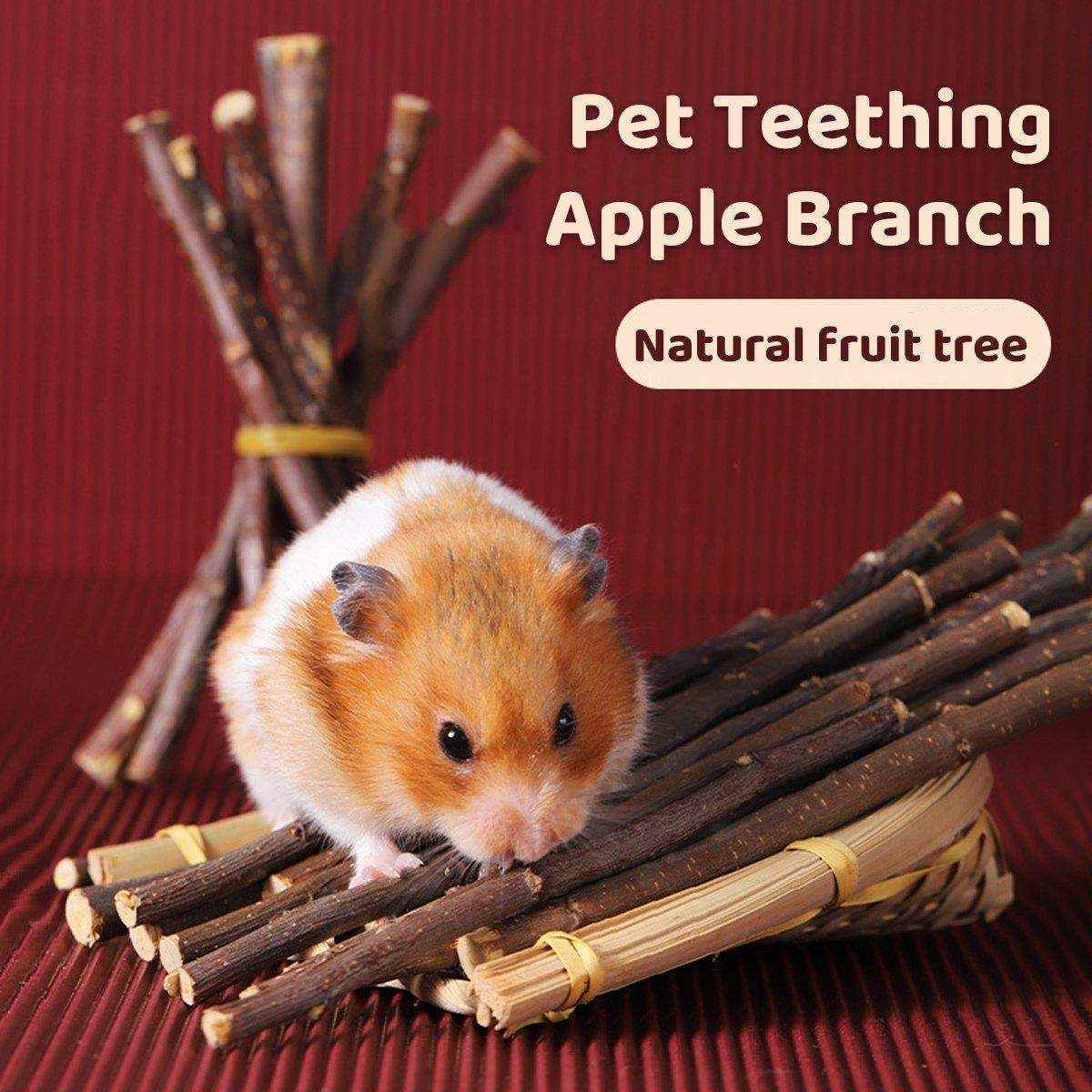 Natural Apple Sticks for Rabbits and Small Pet Chew Toy