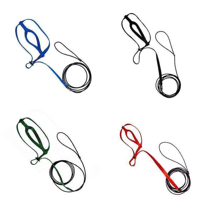 Outdoor Parrot Harness with Adjustable Bird Leash for Safe Flying