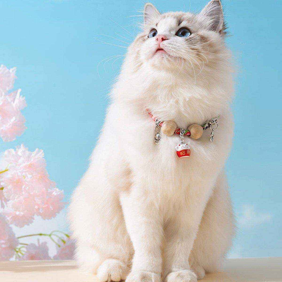 Pet Bell Necklace Designer Cat Flea Collar Dog Insect Repellent