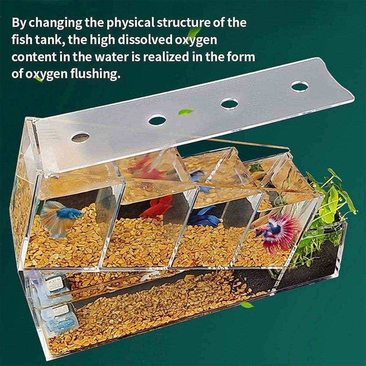 Compact Multi-Cell Desktop Fish Tank with Filtration System