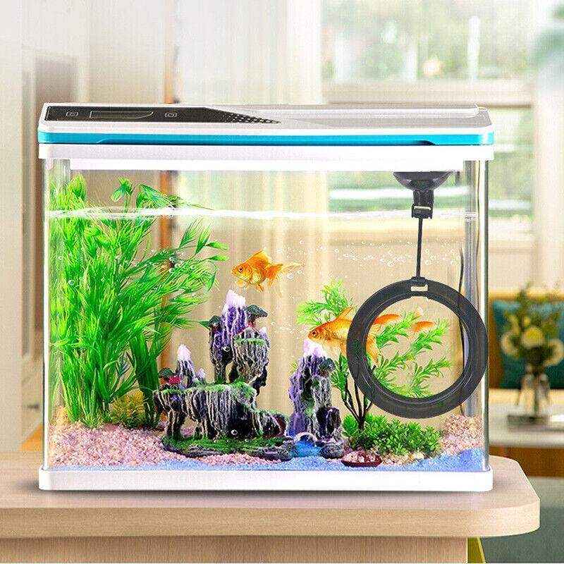 Fish Feeding Ring Aquarium Fish Tank Feeder Floating Fish Food Feeder