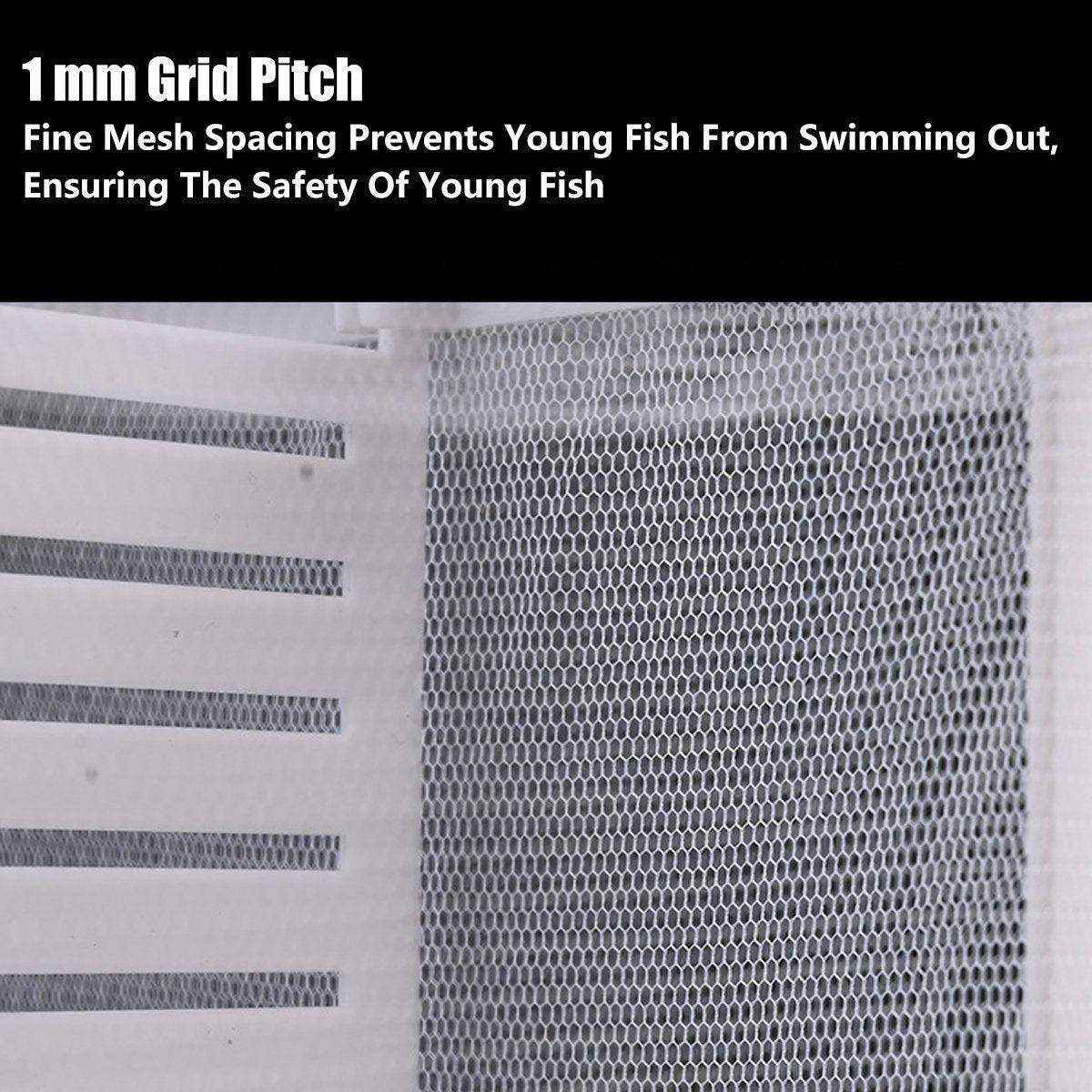 Premium Guppy Breeding Box for Safe Fish Separation