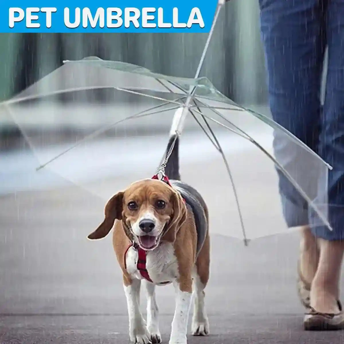 Pet Umbrella with Leash Attachment Keep Your Dog Dry in Style