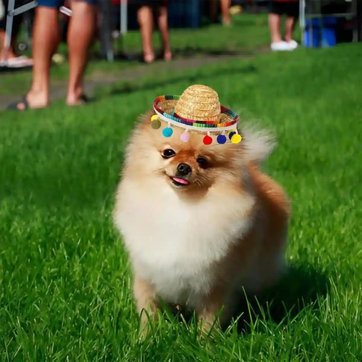 Striped Triangle Pet Towel & Fur Ball Straw Hat Scarf Set, Colorful Pet Accessories