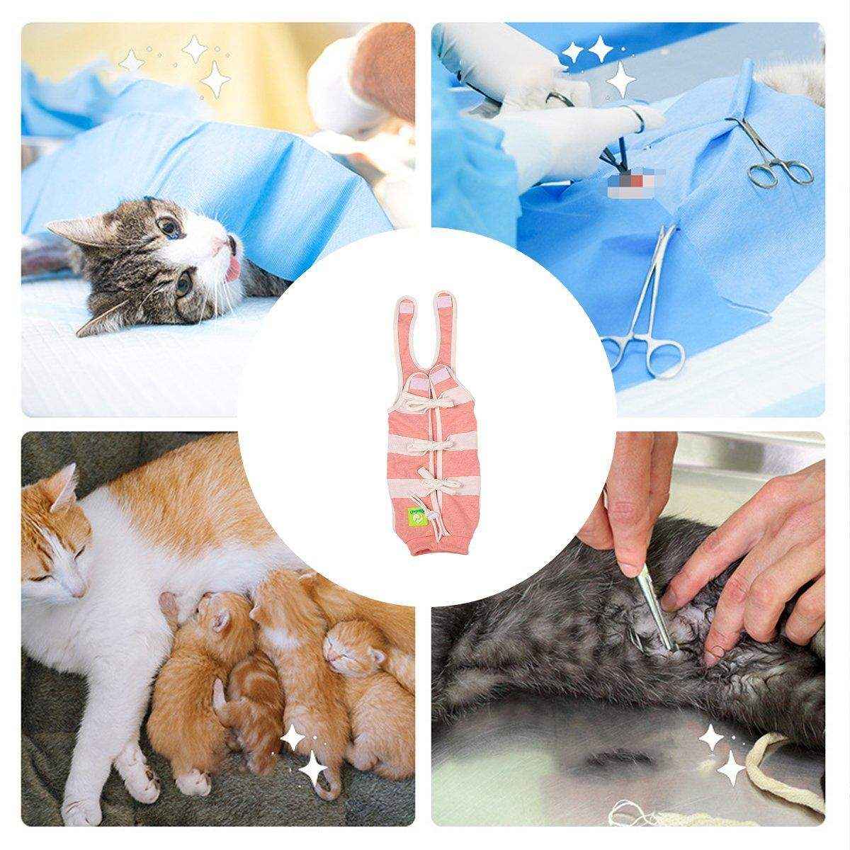 Breathable Anti-Slip Anti-Scratch Pet Neutering Recovery Suit for Cats and Dogs