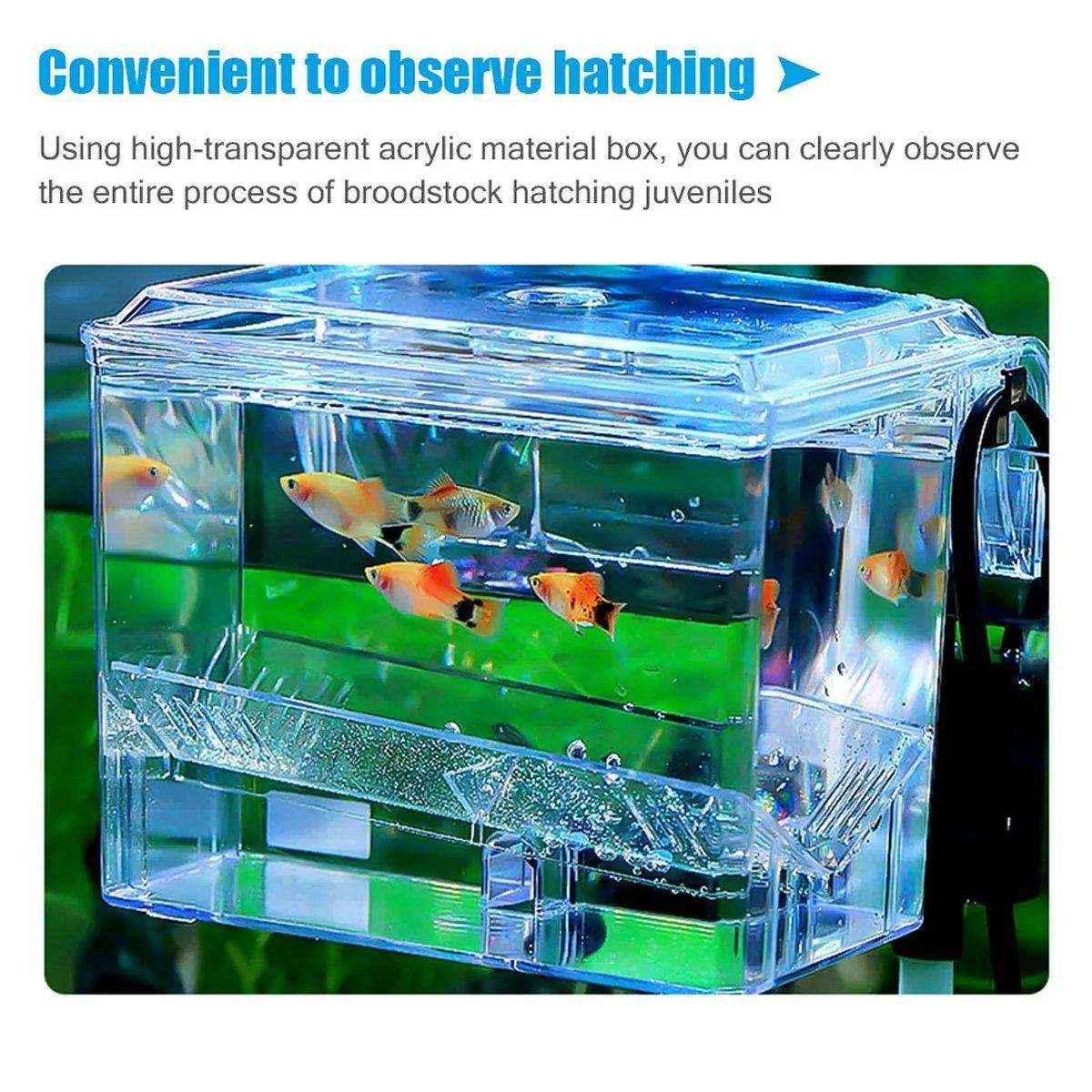 Durable Outboard Fish Isolation Box for Breeding and Protection