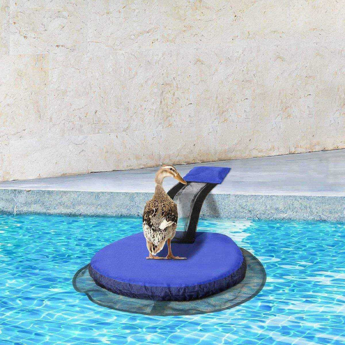 Swimming Pool Critter Saver Animal Escape Ramp Frog Log High Visibility