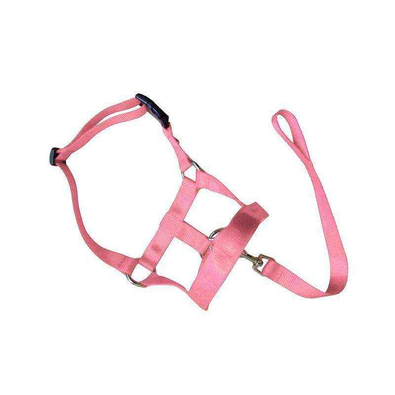 Adjustable Dog Muzzle Head Halter for Anti-Pull Training & Control
