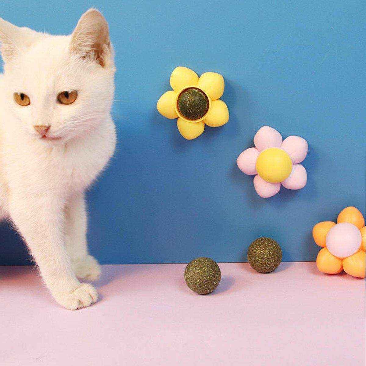 Catnip Ball Cat Toy Rotating Mint Ball Toy