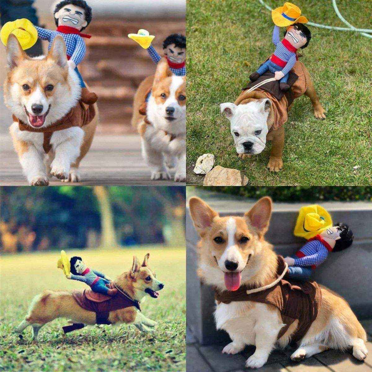 Halloween Dog Costume Pet Accessories Funny Dress Up for Small Medium Dogs