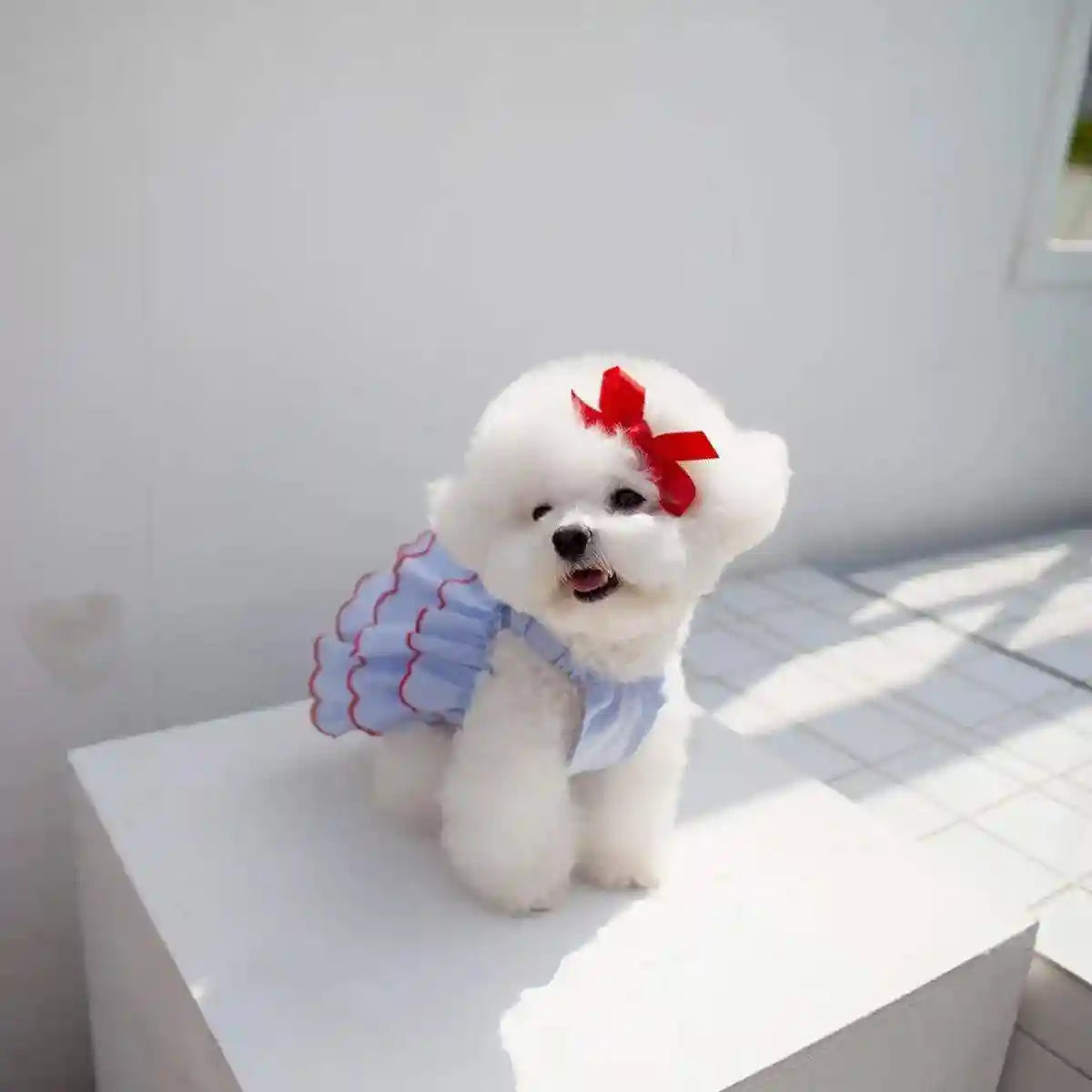 Summer Pet Princess Skirt Cat Dog Dress
