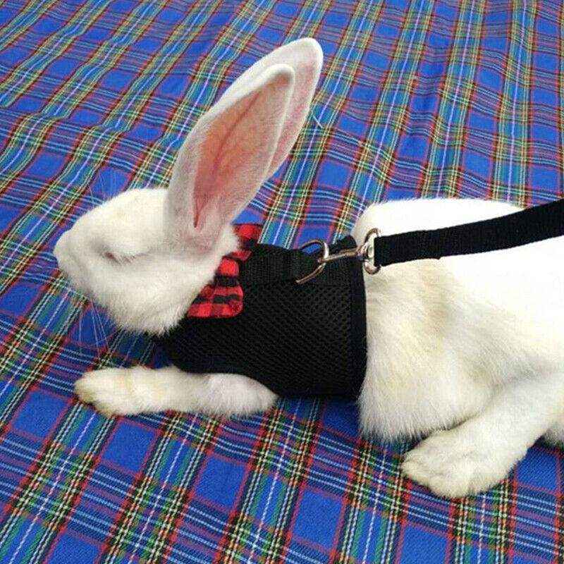 Adjustable Mesh Rabbit Harness with Leash for Small Pets