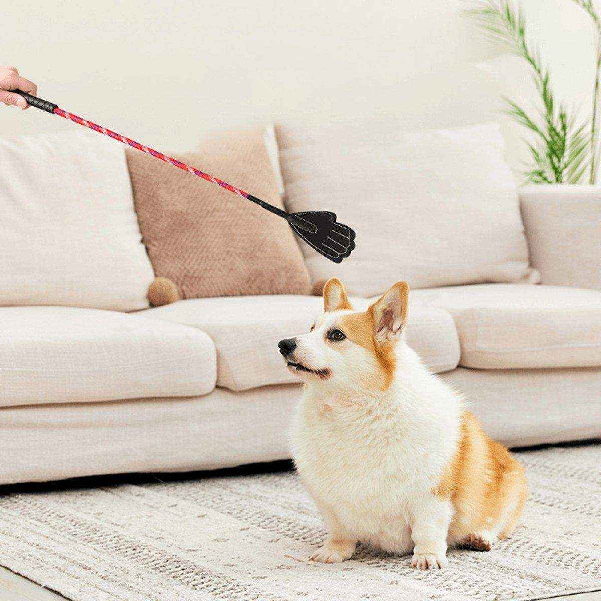 Flexible Dog Training Stick 43cm Soft Behavior Correction Tool for Pets