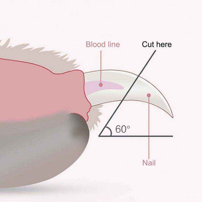 LED Pet Nail Clippers with Light - Safe & Precise Dog and Cat Clippers