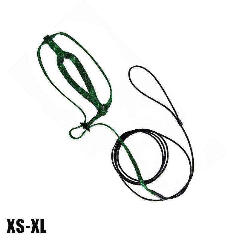 Outdoor Parrot Harness with Adjustable Bird Leash for Safe Flying