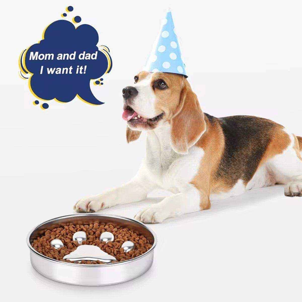 Durable Stainless Steel Slow Feeder Dog Bowl Anti-Bloat & Healthy Eating