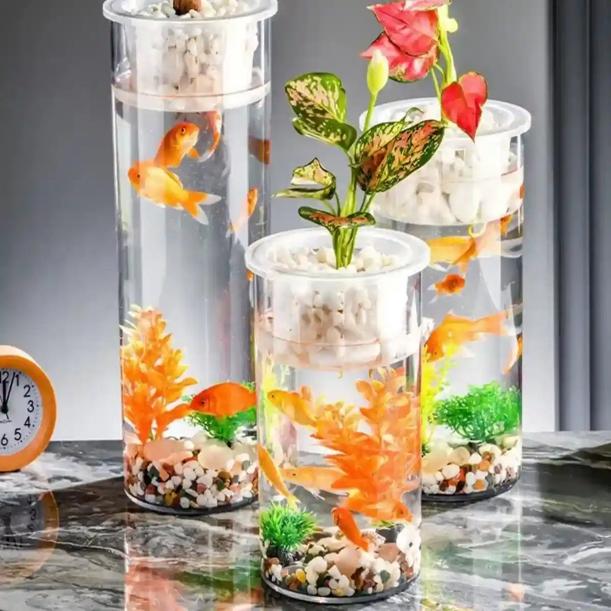 Modern Hydroponic Fish Tank with Cylindrical Design