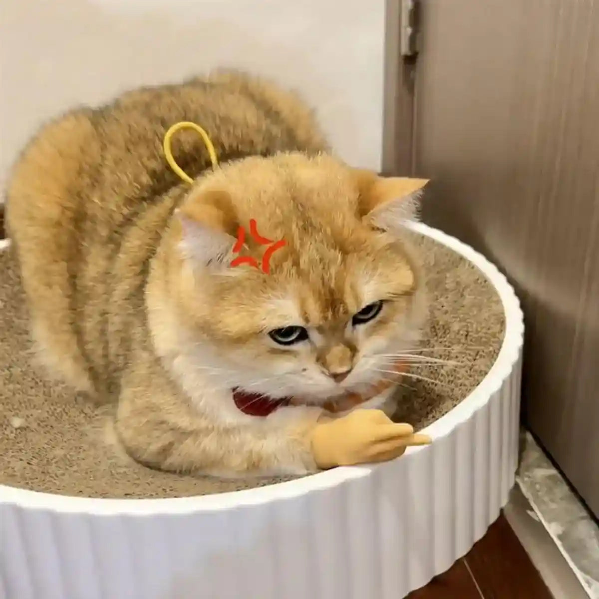 6PCS Cute Cat Finger Covers Soft Rubber Stretchy Mini Simulation Hands Fun Toy