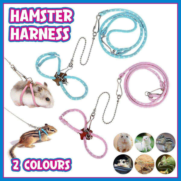 Cute Secure Hamster Walking Harness Photo Inspiration