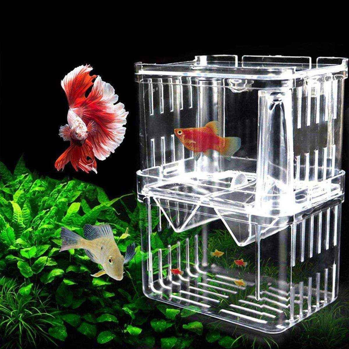 Transparent Guppy Breeding Box for Aquarium Fish Breeding and Isolation
