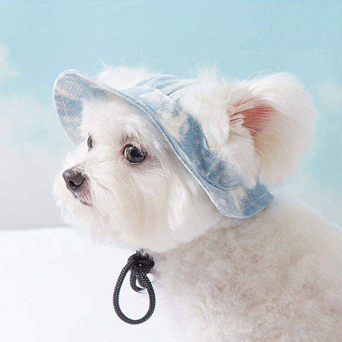 Pet Hat Cute Leaky Ears Anti-shedding Adjustable Fisherman Hat