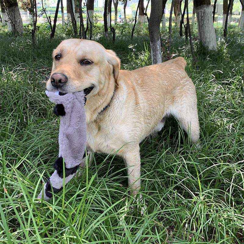 Durable Plush Dog Toy with Squeaky Feature for Medium Breeds 45 cm