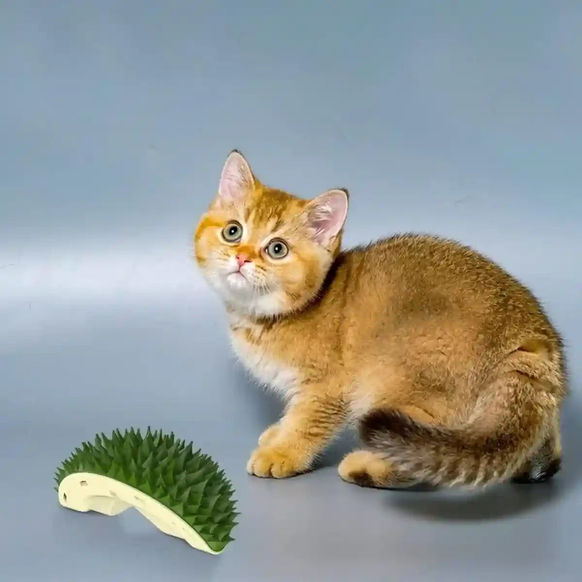 Durian Shape Cat Grooming Comb Tickling & Scratching Tool for Cats & Dogs