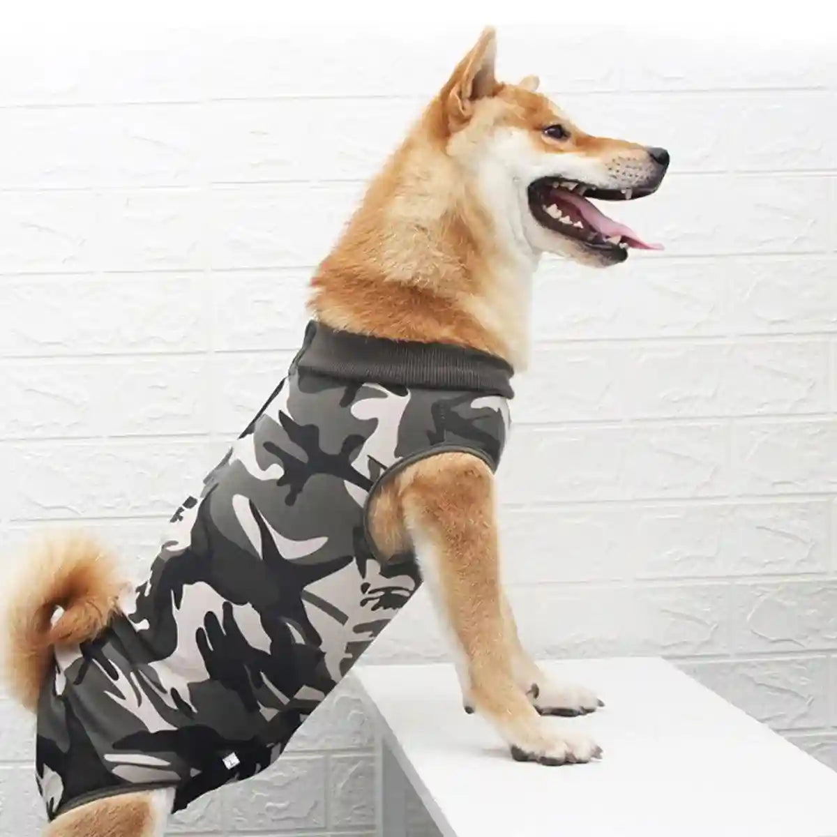 Dog Recovery Suit for Post-Surgery Breathable & Comfortable (S-XXL)