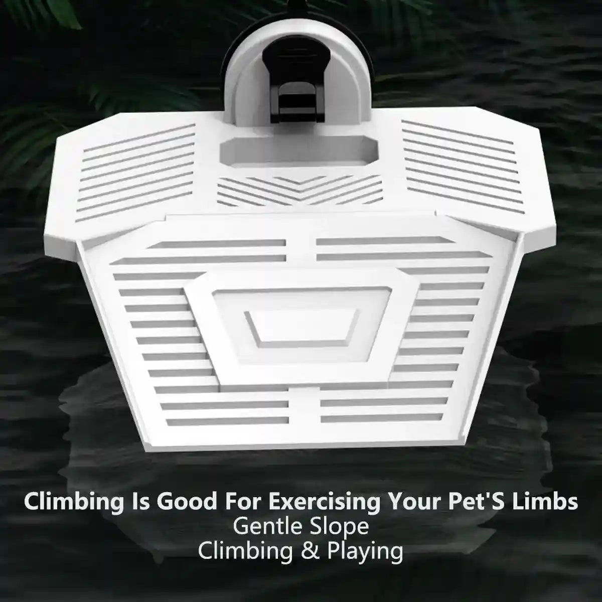 Detachable Tortoise Drying Platform with Climbing Ramp