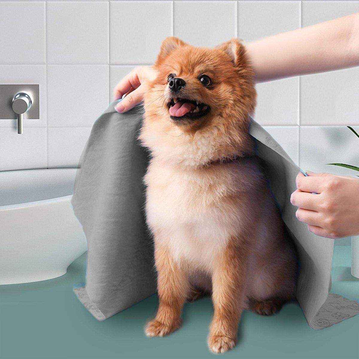 Quick-Drying Dog Towel & Cat Towel