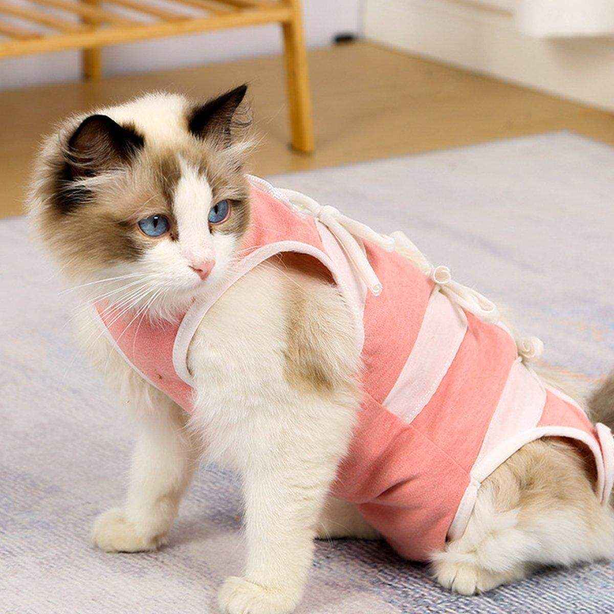 Breathable Anti-Slip Anti-Scratch Pet Neutering Recovery Suit for Cats and Dogs