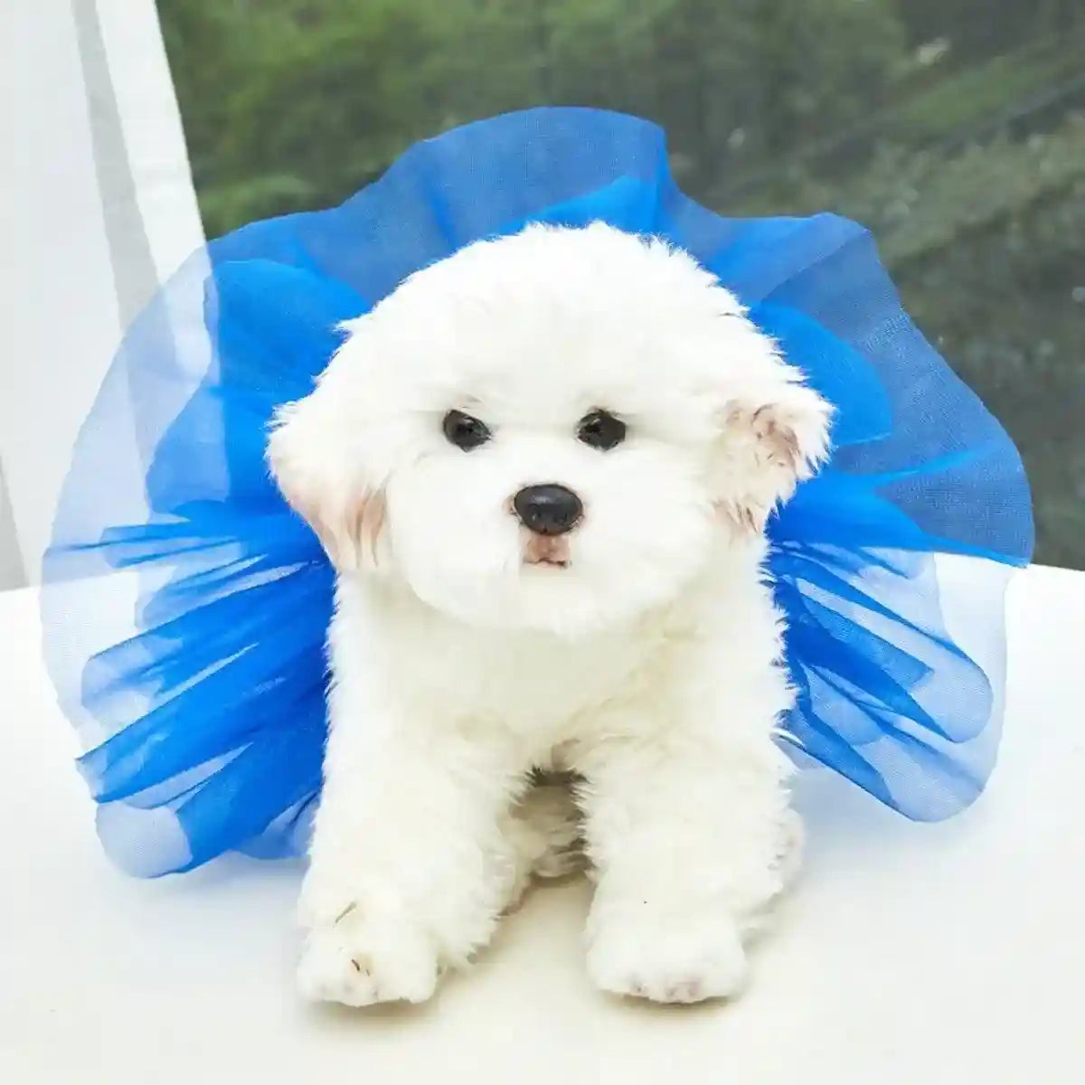 Adjustable Pet Tutu Skirt Colorful & Stylish