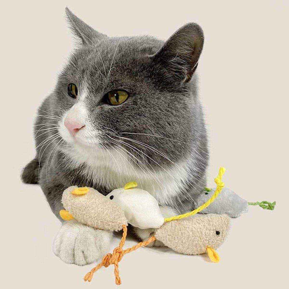 Plush Simulation Catnip Mouse Cat Toy Scratch-Resistant Molar Fun Toy