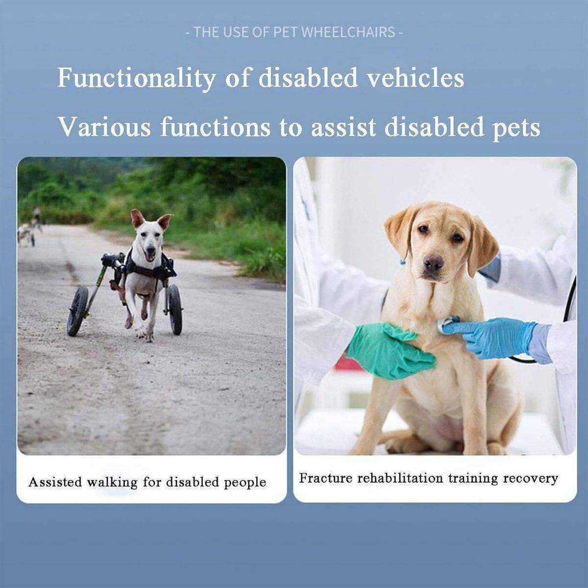 Pet Recovery Leash Assistance Car - Mobility Aid for Disabled Pets