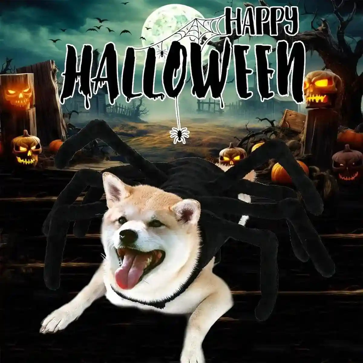Halloween Pet Spider Costume Creepy & Cute Halloween Outfit for Pets