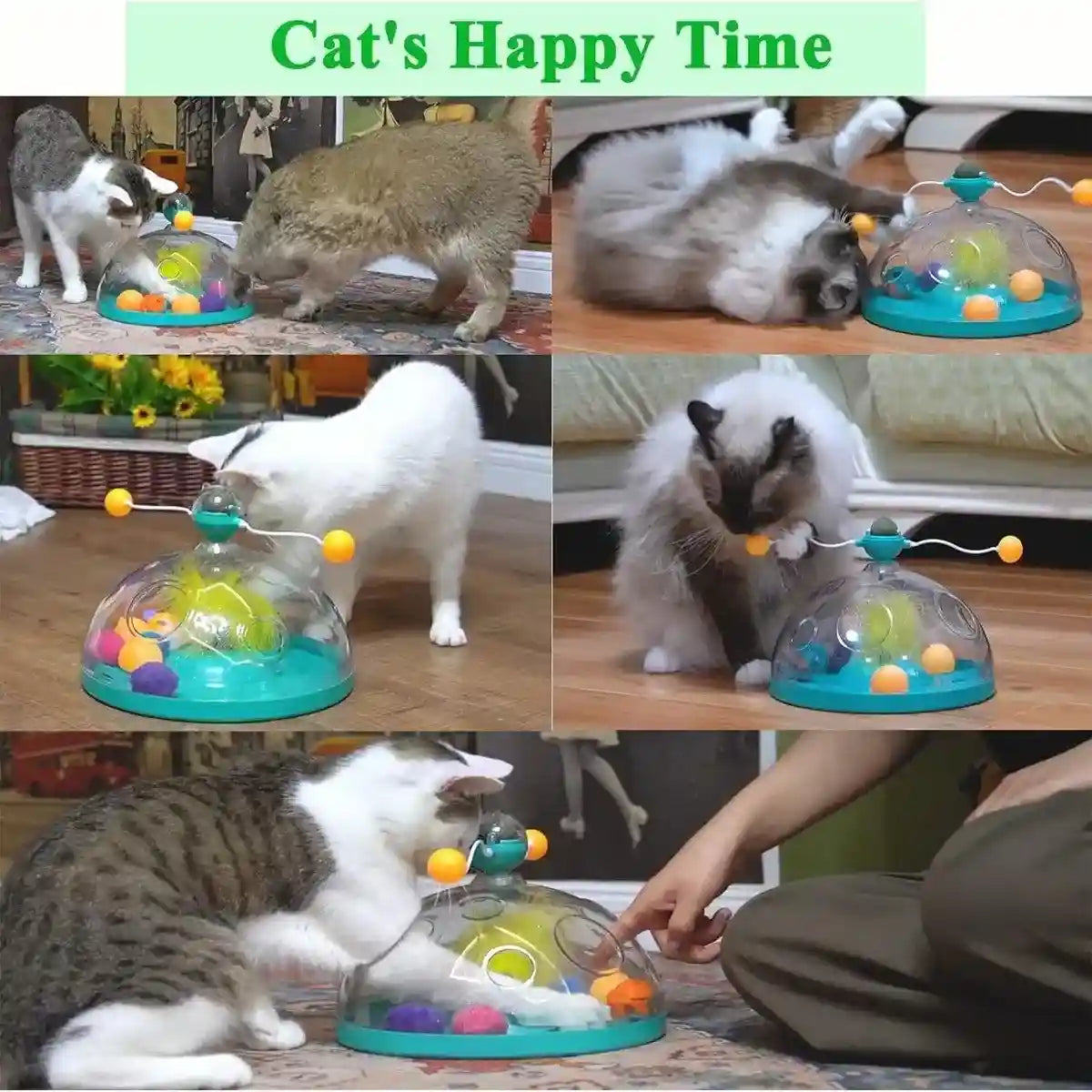 Interactive Windmill Catnip Toys for Indoor Cats Engaging & Fun Playtime