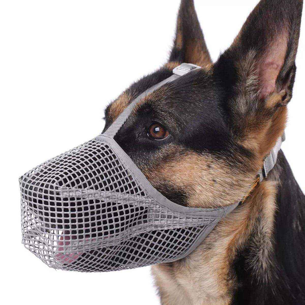 2PCS Adjustable Mesh Dog Muzzle Set Breathable Anti-Bite Muzzles