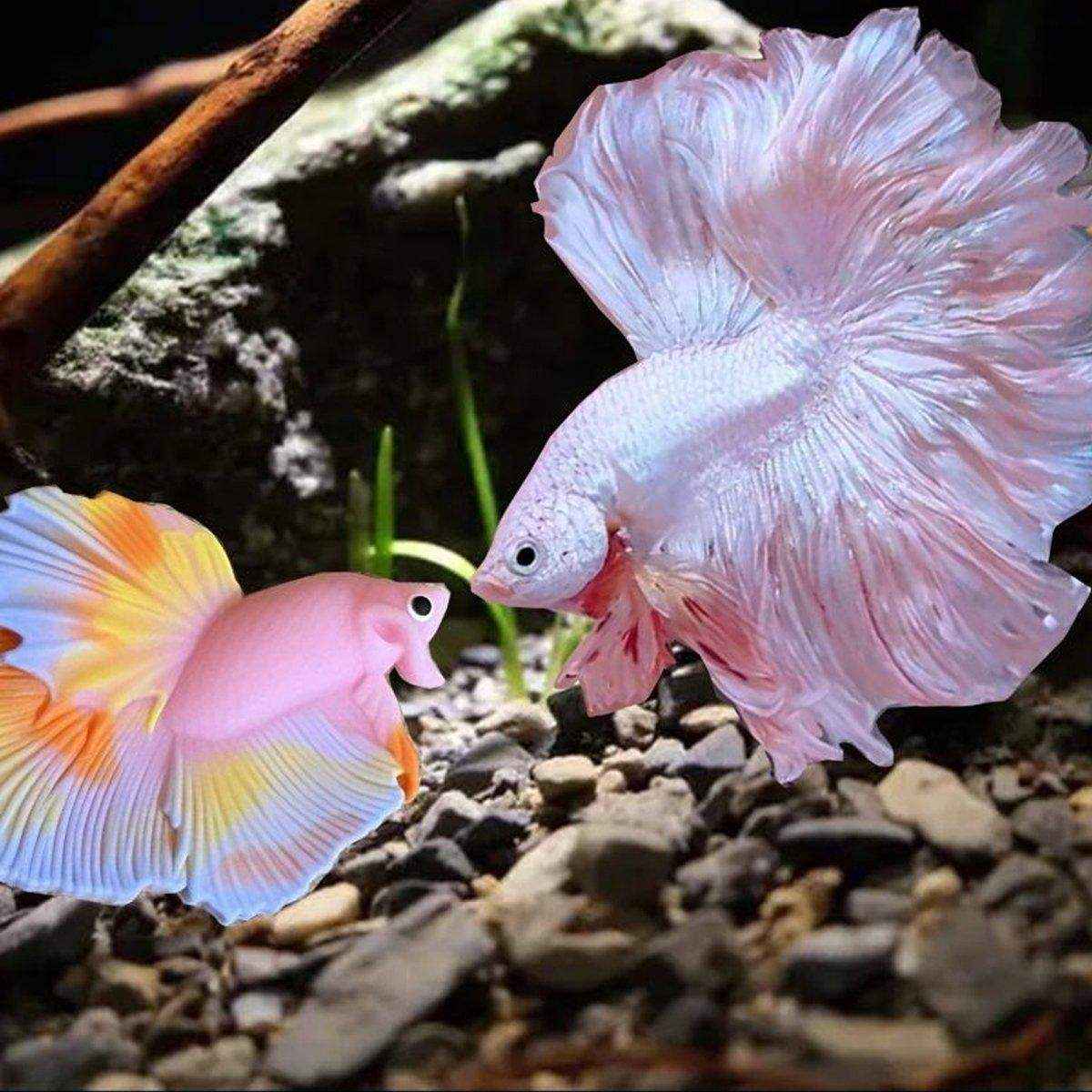 Fish Stick Training Pen Fish Interactive Toy