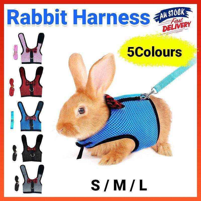 Mesh rabbit harness with leash, adjustable fit, and soft padding for small pets.