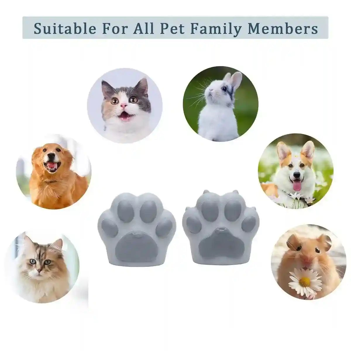 Starry Pet Memorial Urn Elegant Dog and Cat Urns for Ashes