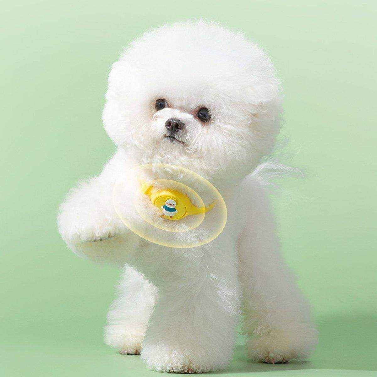 Cartoon Designer Pet Collars Essential Oils for Dogs & Cats