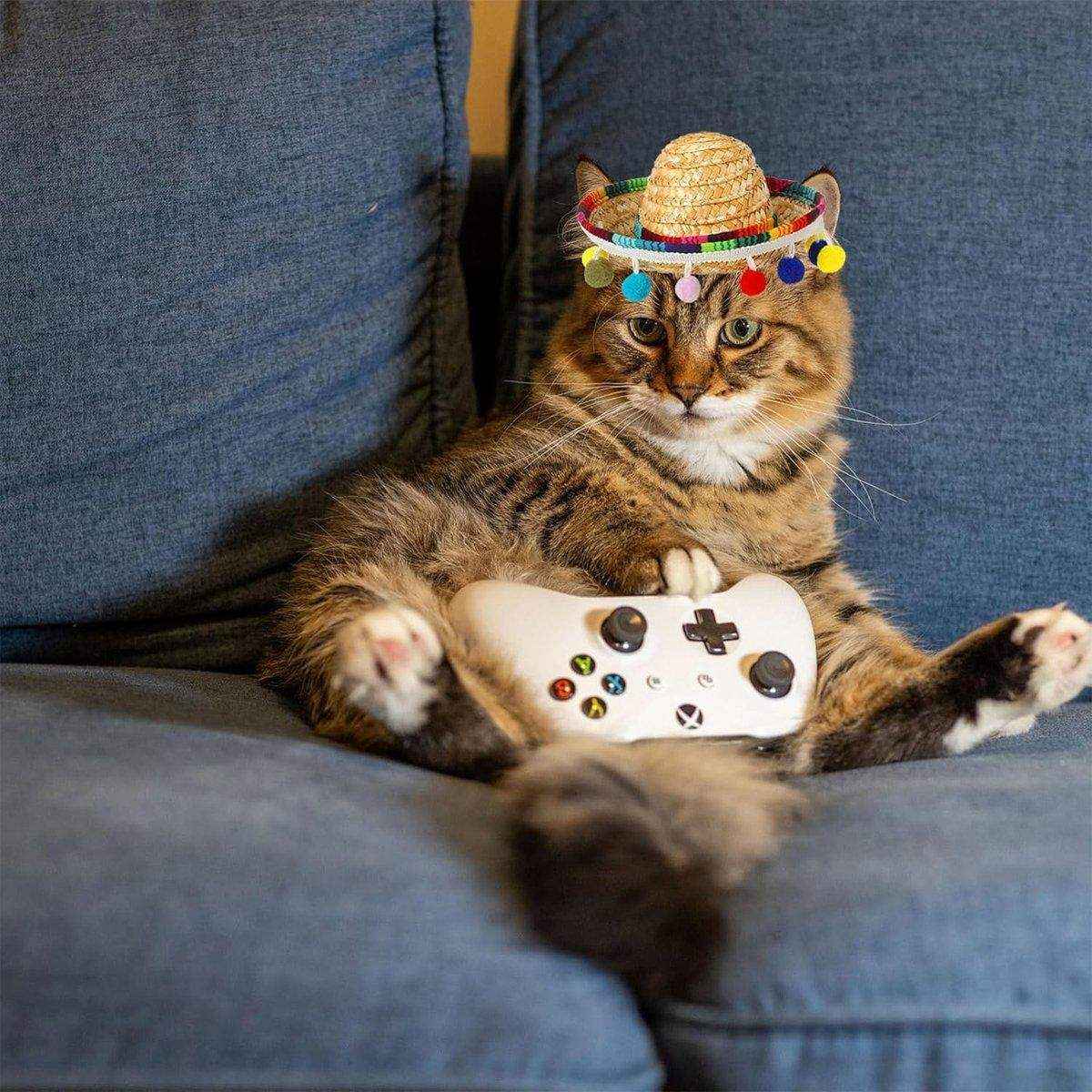 Striped Triangle Pet Towel & Fur Ball Straw Hat Scarf Set, Colorful Pet Accessories