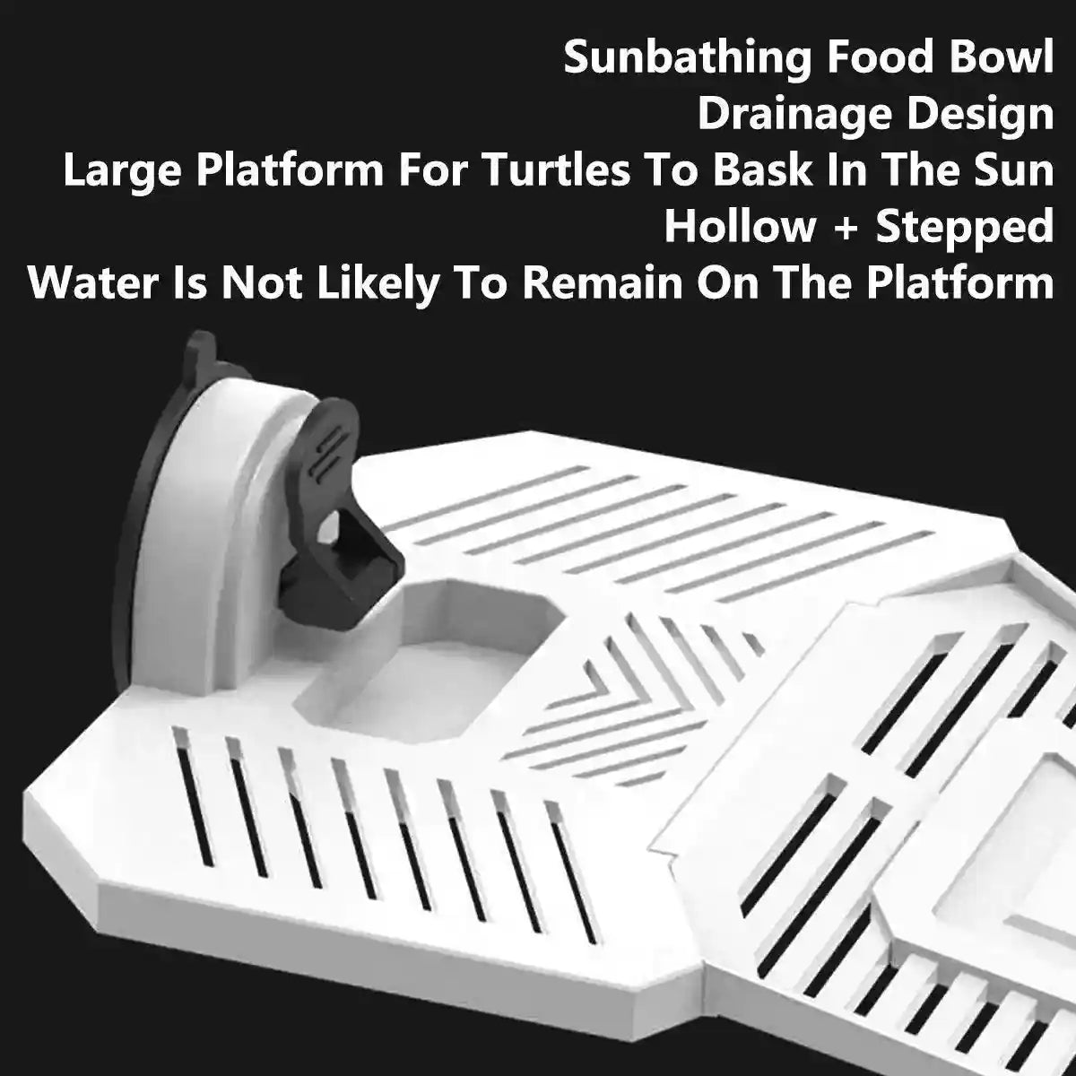 Detachable Tortoise Drying Platform with Climbing Ramp