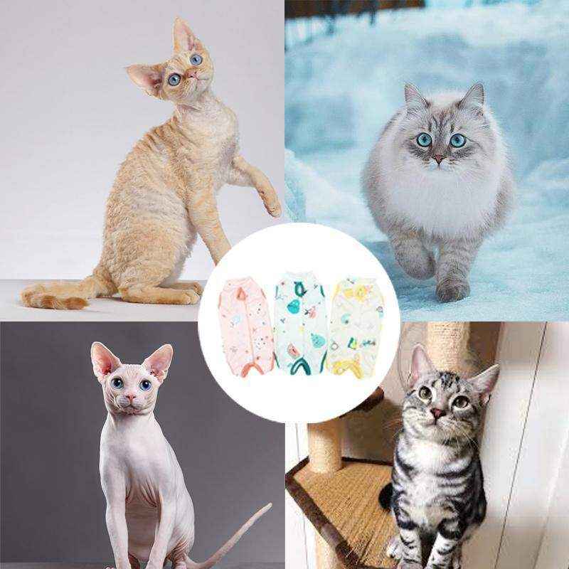 Pet Cat Recovery Suit-Surgical Jumper