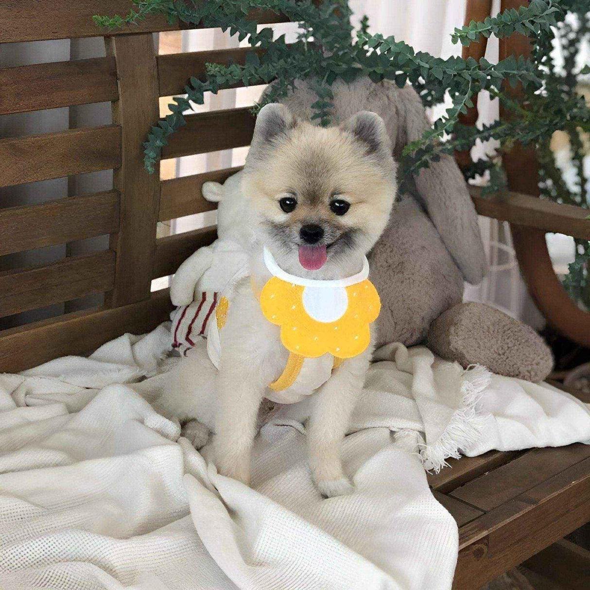 Adorable Dog Bibs with Flower & Bee Design for Stylish Pets