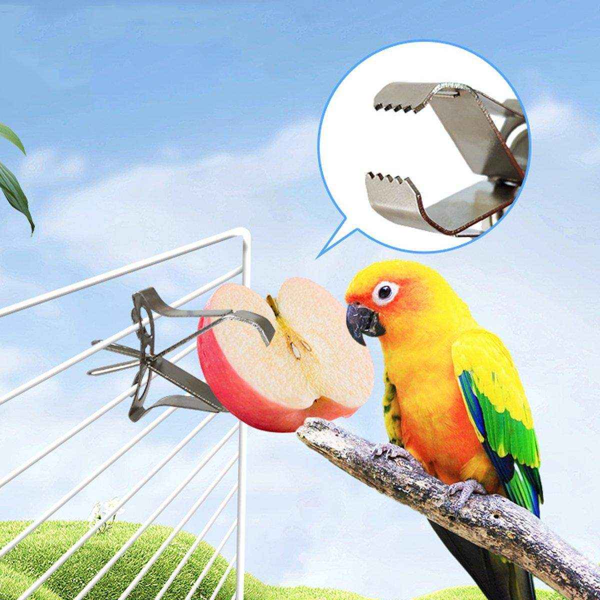 6X Fruit Pet Cage Accessories Bird Food Holders Clip Parrot Feeder Feeding Clamp