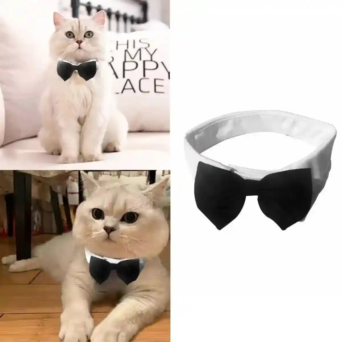 Designer Dog Collars & Designer Cat Collar Set Bow Tie and Necktie Design