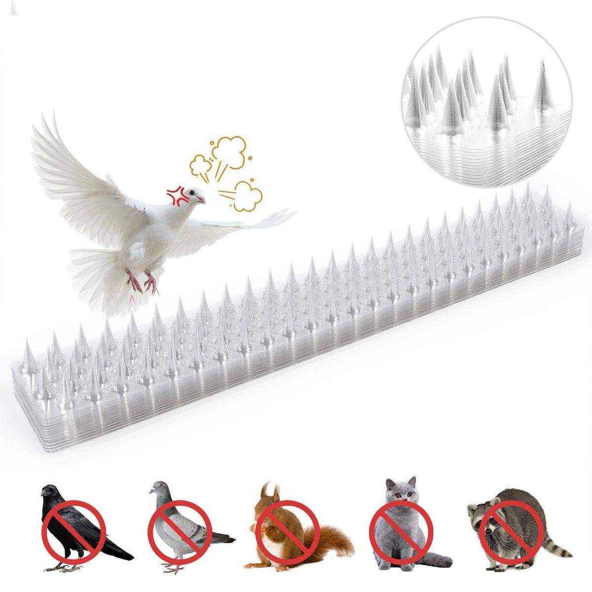 Transparent Bird Spikes Durable & Weatherproof Pest Deterrent for Outdoor Use