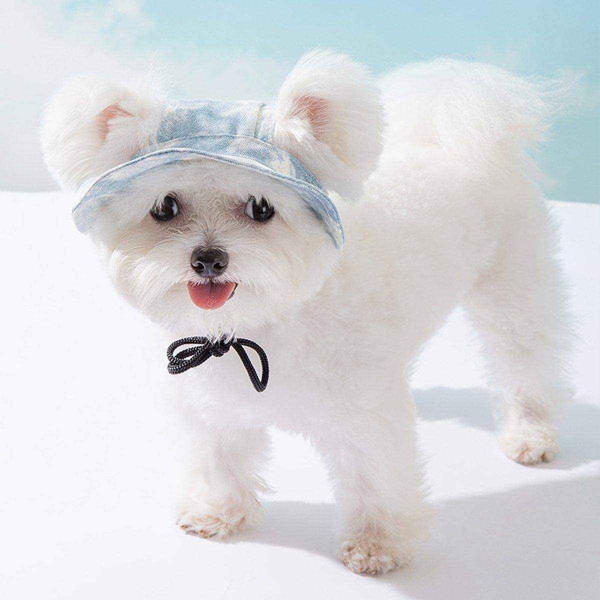 Pet Hat Cute Leaky Ears Anti-shedding Adjustable Fisherman Hat