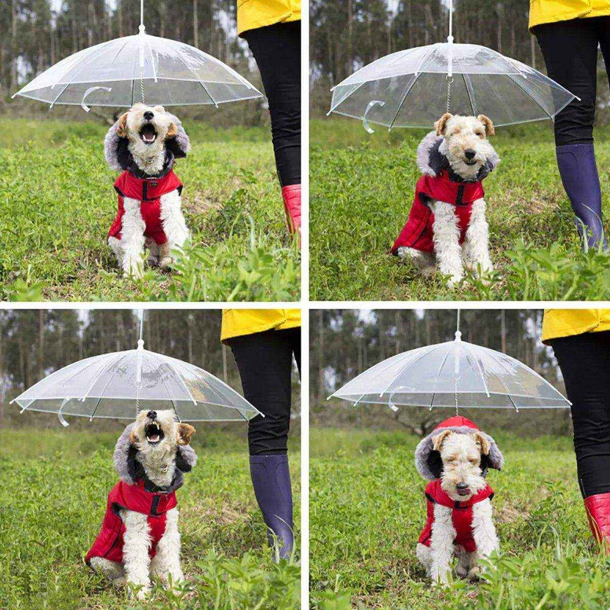 Pet Umbrella with Leash Attachment Keep Your Dog Dry in Style
